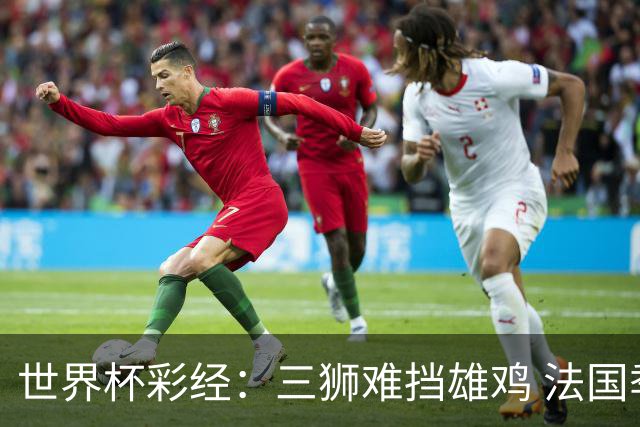 世界杯彩经：三狮难挡雄鸡 法国季军收官