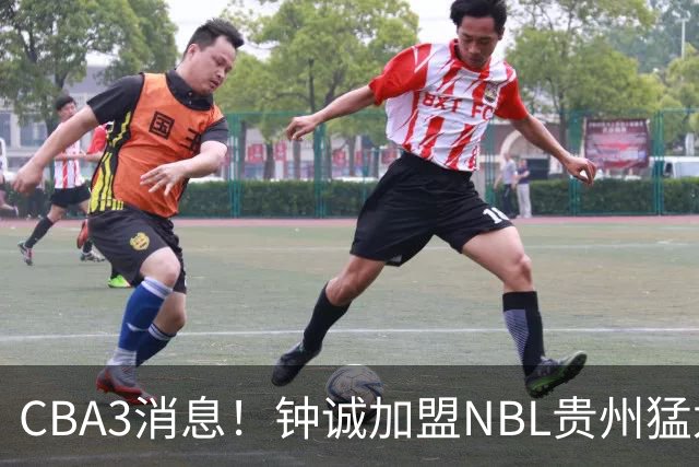 CBA3消息！钟诚加盟NBL贵州猛龙，新疆扶正韩国教练，中国女篮36分输西班牙